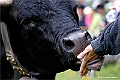 web2_DSC0596