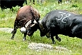 web2_DSC0661