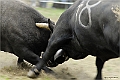 web2_DSC7792