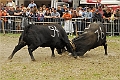 web2_DSC7914