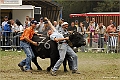 web2_DSC7920
