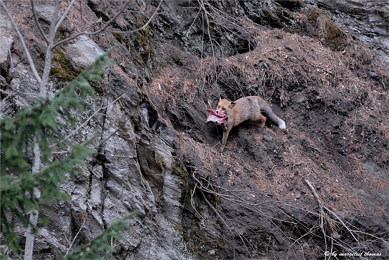 web2_DSC9044.jpg