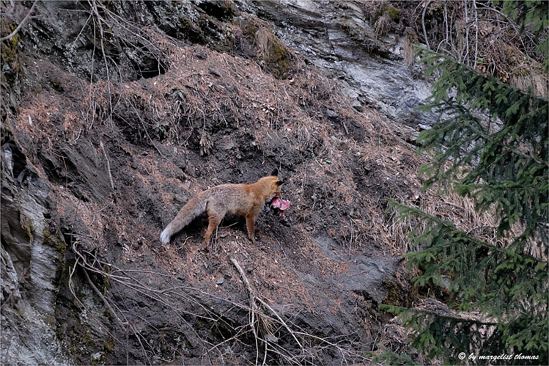 web2_DSC9047.jpg