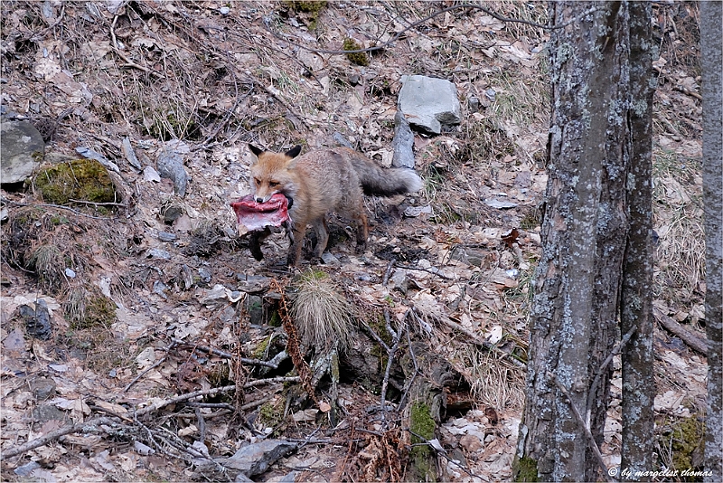 web2_DSC9048.jpg