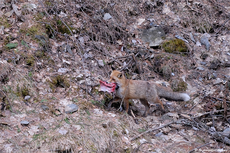 web2_DSC9050.jpg