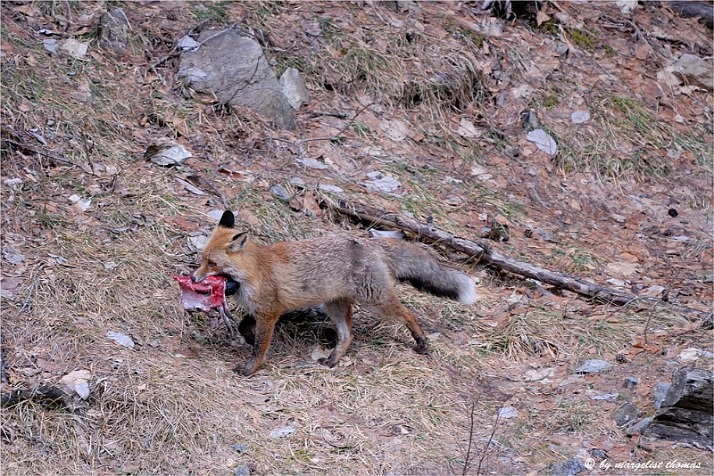 web2_DSC9053.jpg