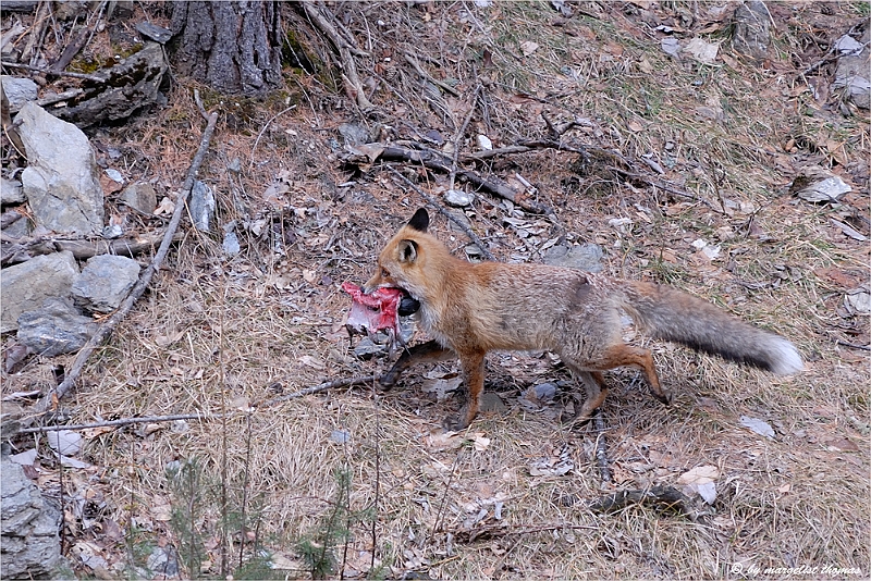 web2_DSC9054.jpg