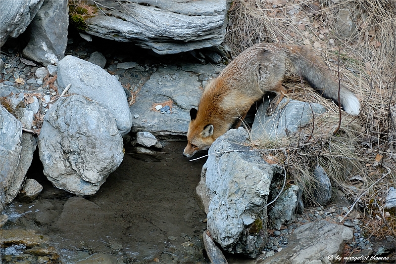 web2_DSC9068.jpg