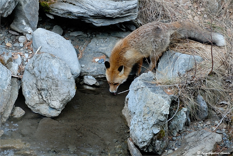 web2_DSC9070.jpg