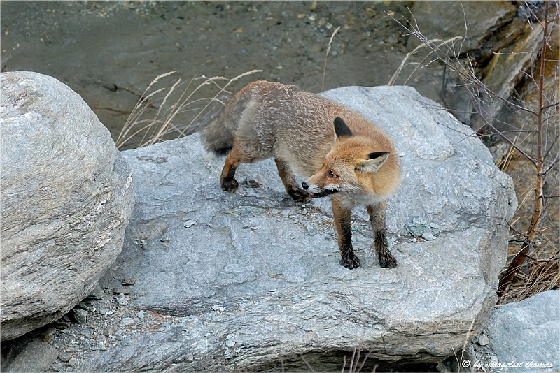 web2_DSC9075.jpg