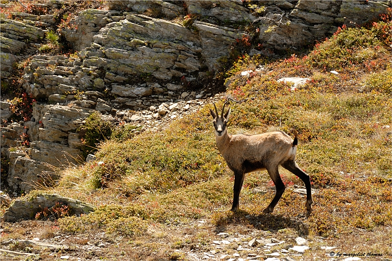 web2_DSC6195.jpg