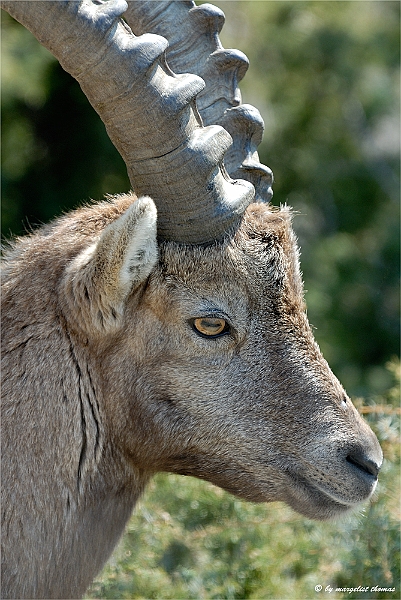 web2_DSC8548.jpg