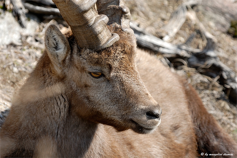 web2_DSC8565.jpg