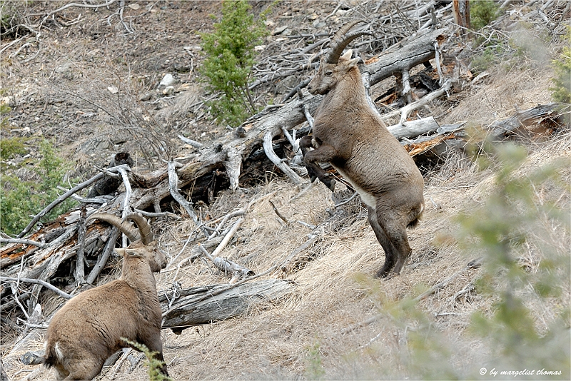 web2_DSC9012.jpg