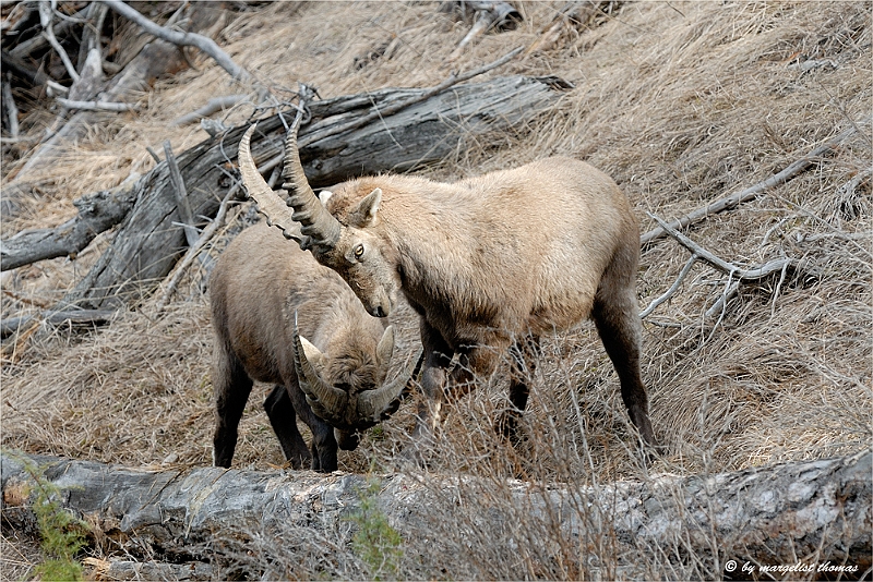 web2_DSC9032.jpg