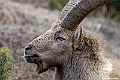 web2_DSC8486