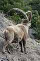 web2_DSC8489