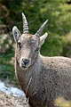 web2_DSC8497
