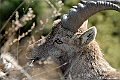 web2_DSC8519