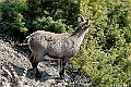 web2_DSC8540