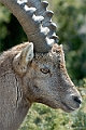 web2_DSC8548
