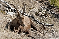 web2_DSC8562