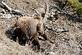 web2_DSC8568