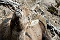 web2_DSC8573