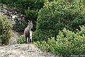 web2_DSC8973