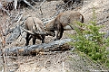 web2_DSC8982