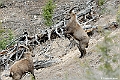 web2_DSC9012