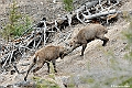 web2_DSC9014