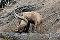 web2_DSC9030