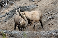 web2_DSC9032