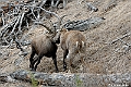 web2_DSC9037