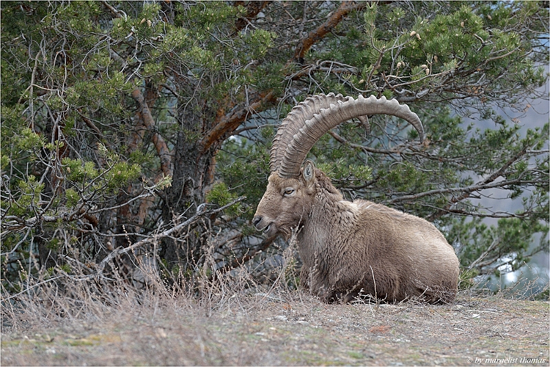 web2_DSC9569.jpg