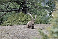 web2_DSC9558