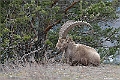 web2_DSC9569
