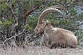 web2_DSC9572