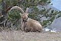 web2_DSC9579