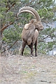 web2_DSC9590