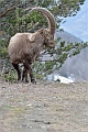 web2_DSC9592