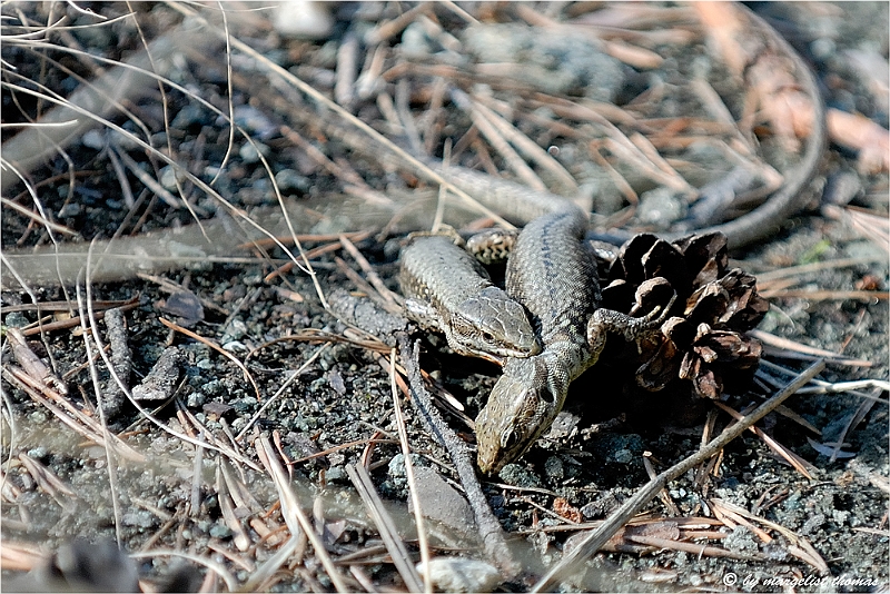 web2_DSC9080.jpg