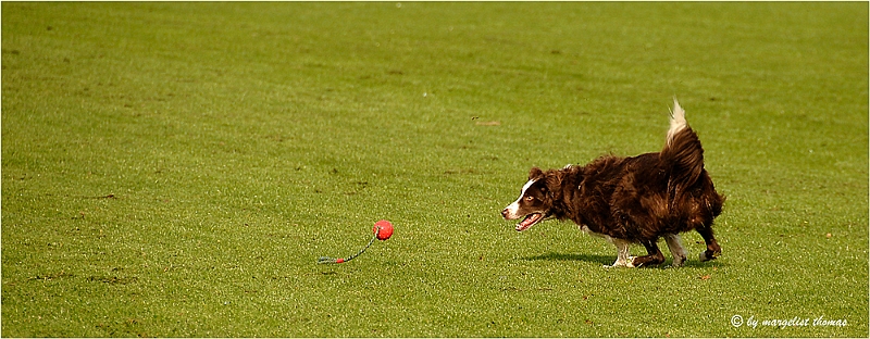 web2_DSC9158.jpg