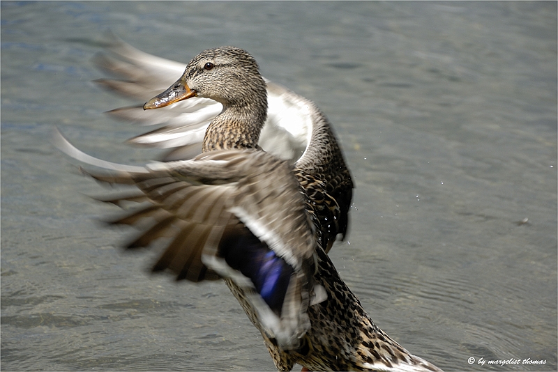web2_DSC0628.jpg