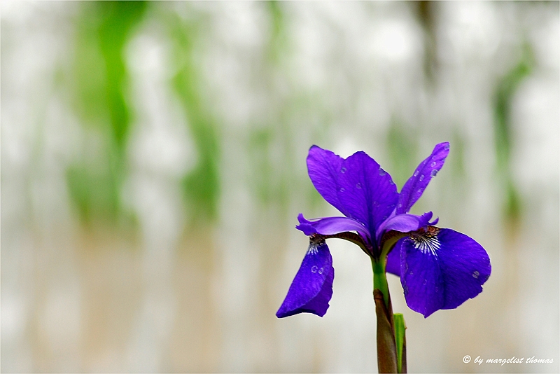 web2_DSC1280.jpg