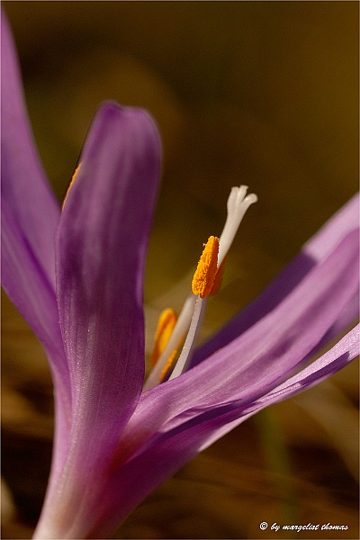 web2_DSC6877.jpg