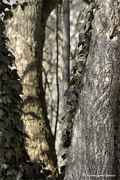web2_DSC6914.jpg
