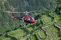 web2_DSC0925