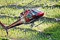 web2_DSC0966